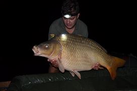 campion printre campioni